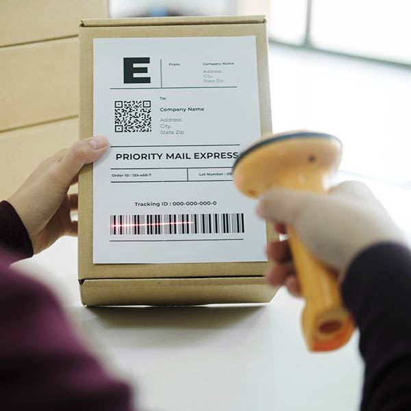 logistic